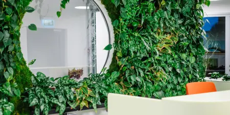 Nature Near Human with InnoGreen Modular Green Walls