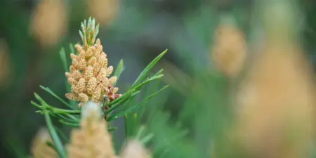 Enjoying Nature on a Whole New Level with the Help of NatureGate’s New Website